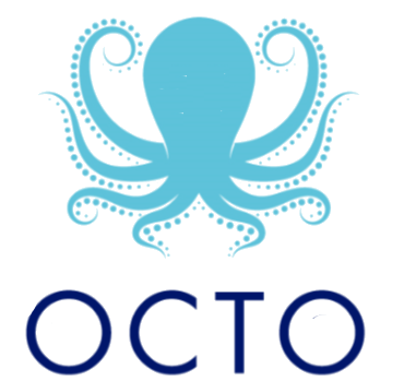 Octo Bilisim